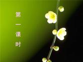 部编版高中语文选择性必修中册 6.1记念刘和珍君    课件