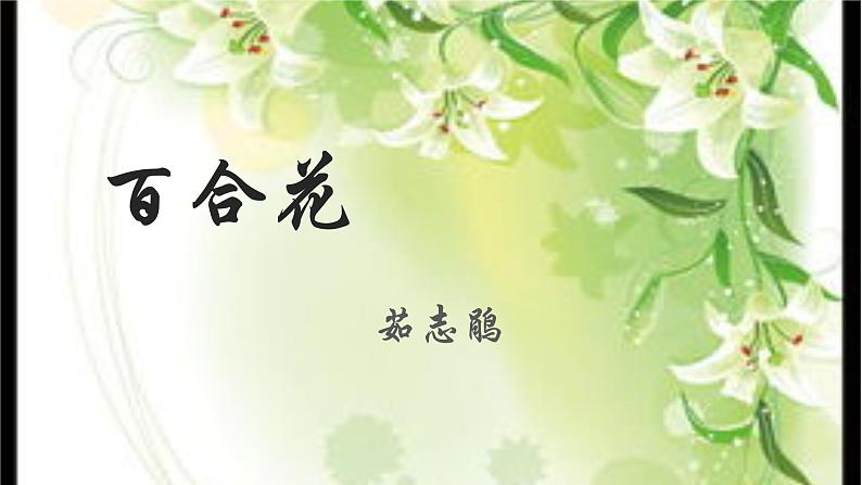 高一上册《百合花》ppt第1页