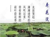 第2单元 8.1 荷花淀-高二语文同步课件+教案+练习（统编版选择性必修中册）