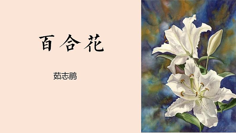 《百合花》高中语文统编版必修上册  (8)课件PPT第6页