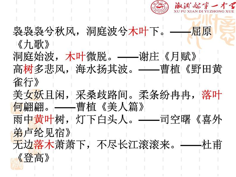 9《说“木叶”》课件PPT08