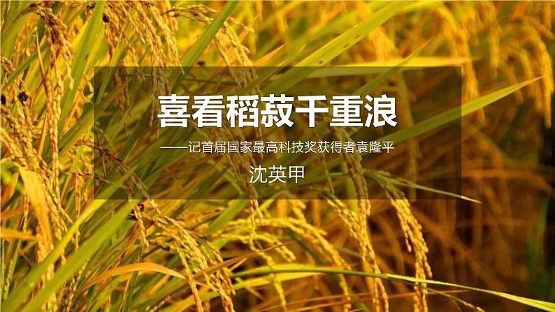 《喜看稻菽千重浪》课件 23张 2021-2022学年统编版高中语文必修上册第1页