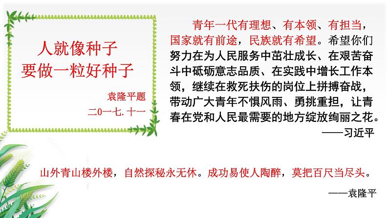 《喜看稻菽千重浪》课件25张 2021-2022学年统编版高中语文必修上册第8页