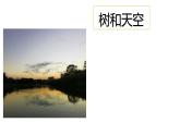 高中語文人教統(tǒng)編版選擇性必修中冊 樹和天空 課件