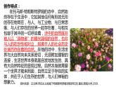 高中語文人教統(tǒng)編版選擇性必修中冊 樹和天空 課件