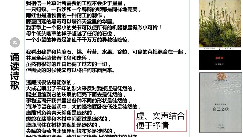 高中语文人教统编版选择性必修中册《自己之歌》 课件07