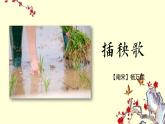 《芣苢》《插秧歌》高中语文统编版必修上册 (10)课件PPT