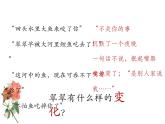 部编版高中语文选择性必修下册5.2边城   课件