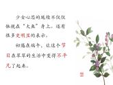 部编版高中语文选择性必修下册5.2边城   课件