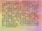 部编版高中语文选择性必修下册5.2边城   课件