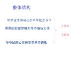 部编版高中语文选择性必修下册5.2边城   课件