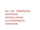 部编版高中语文选择性必修下册5.2边城   课件