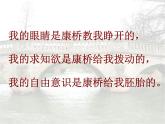 高中语文 北师大课标版 必修1 再别康桥 课件