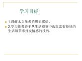 高中语文 北师大课标版《项脊轩志》课件