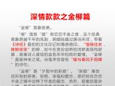 部编版高中语文选择性必修下册6.2再别康桥   课件