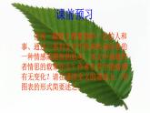 人教部编版高中语文选择性必修下册7.1一个消逝了的山村   课件