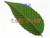 人教部编版高中语文选择性必修下册7.1一个消逝了的山村   课件
