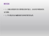 《装在套子里的人》课件21张2021—2022学年统编版高中语文必修下册