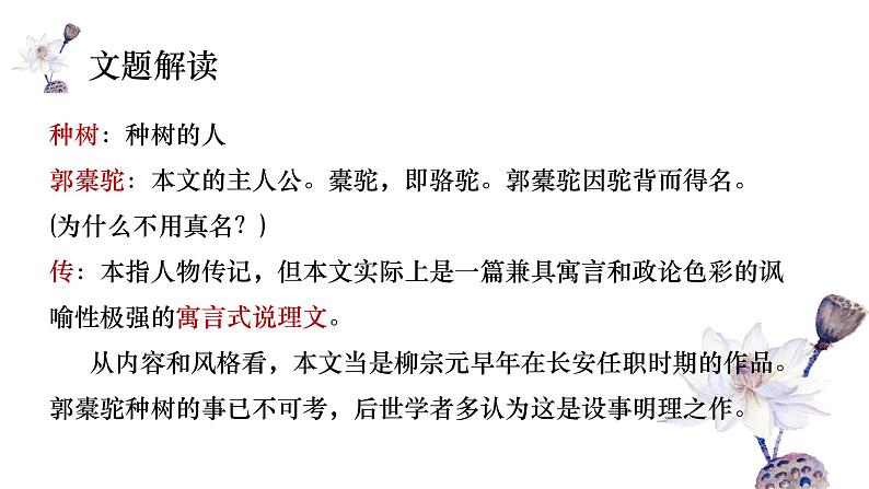 3.3《种树郭橐驼传》课件31张2021—2022学年统编版高中语文选择性必修下册第3页