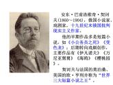 《装在套子里的人》课件24张2021—2022学年统编版高中语文必修下册
