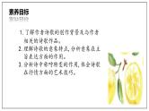 《迷娘》课件24张2021-2022学年统编版高中语文选择性必修中册