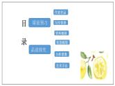 《迷娘》课件24张2021-2022学年统编版高中语文选择性必修中册