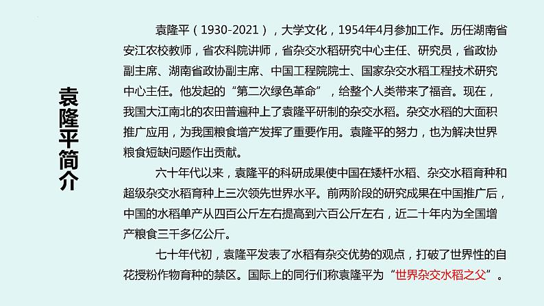 4.1《喜看稻菽千重浪》课件24张2021-2022学年统编版高中语文必修上册第4页