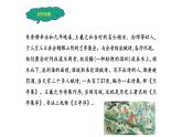 人教部编版高中语文选择性必修下册10.1兰亭集序   课件