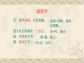 人教部编版高中语文选择性必修下册12.石钟山记   课件