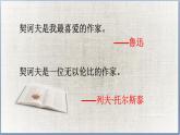 《装在套子里的人》课件28张2021-2022学年统编版高中语文必修下册