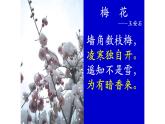 统编版高中语文必修下册----桂枝香·金陵怀古课件PPT
