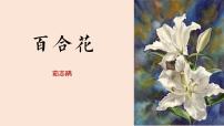 语文必修 上册3.1 百合花课前预习课件ppt