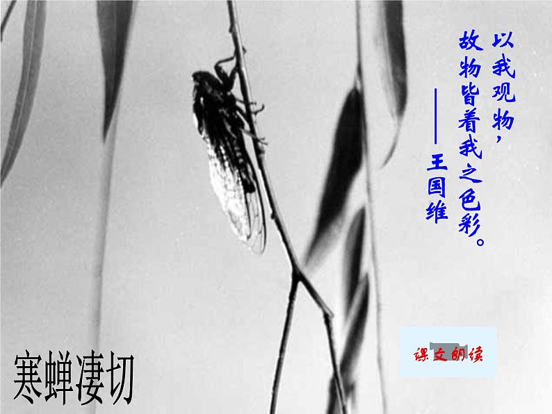 人教版高中语文必修4---雨霖铃课件第8页