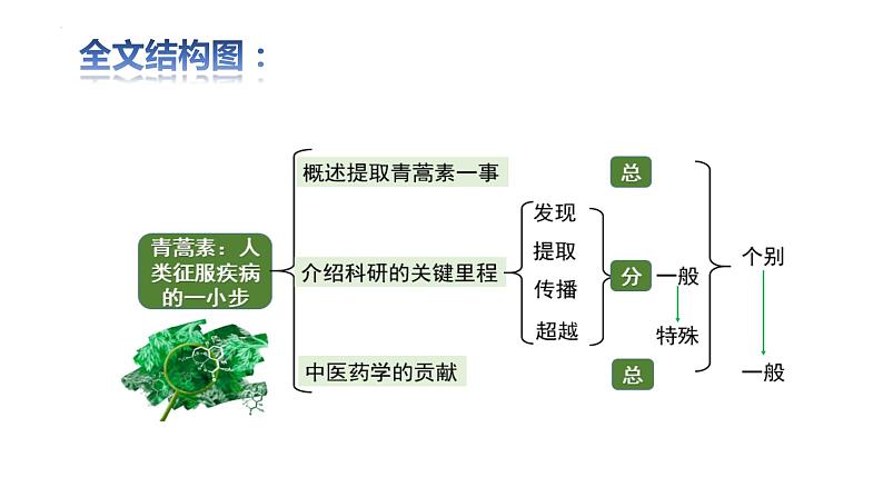 第三单元实用类文本专项课件27张2021-2022学年统编版高中语文必修下册第6页