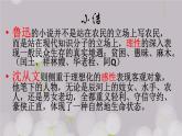 5《阿Q正传》《边城》比较阅读课件19张2021-2022学年统编版高中语文选择性必修下册