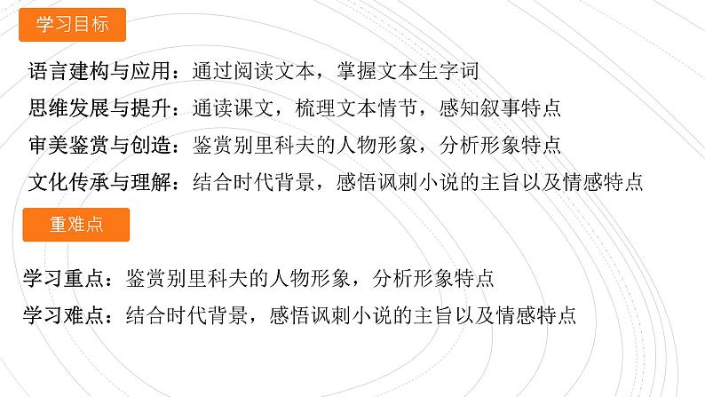 13.2《装在套子里的人》课件19张2021-2022学年统编版高中语文必修下册第2页