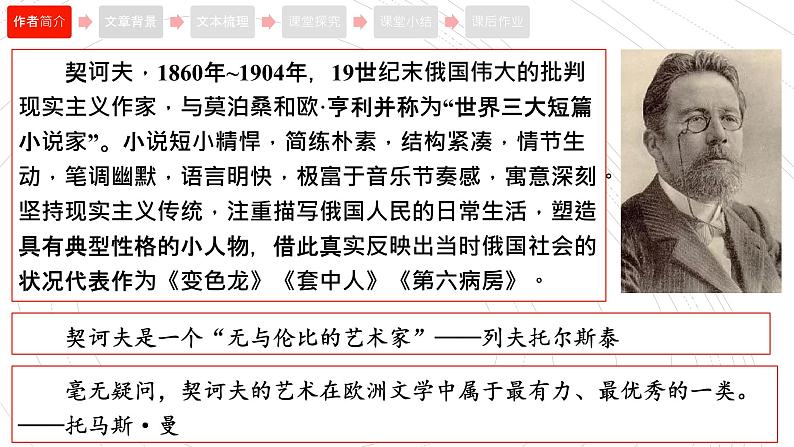 13.2《装在套子里的人》课件19张2021-2022学年统编版高中语文必修下册第3页