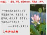 《荷塘月色》上课课件PPT