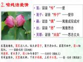 《荷塘月色》上课课件PPT