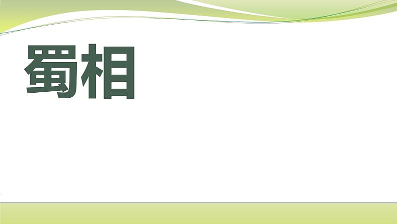 3.2《蜀相》课件17张2021—2022学年统编版高中语文选择性必修下册01