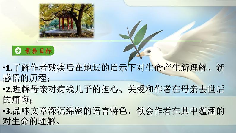 《我与地坛》课件统编版高中语文必修上册 (1)第3页