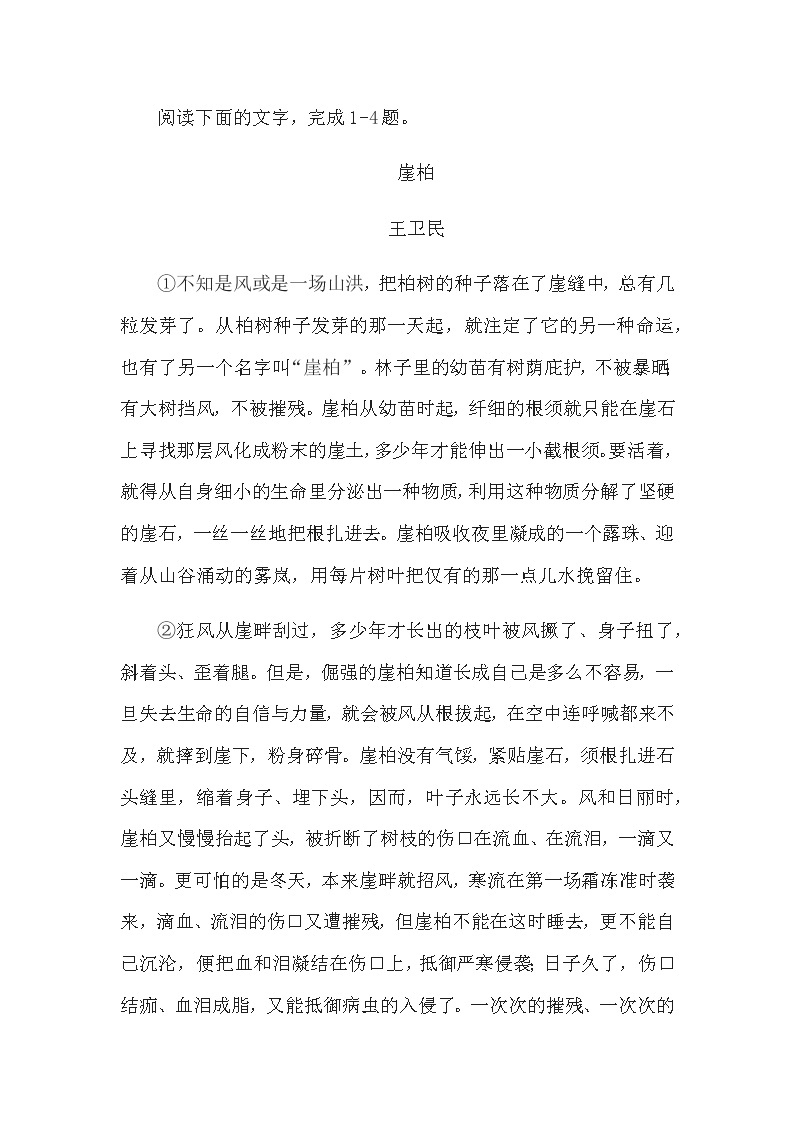 王卫民《崖柏》阅读练习及答案01