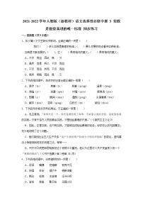 人教统编版选择性必修 中册3 实践是检验真理的唯一标准综合训练题
