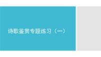 2022届高考语文复习诗歌鉴赏专题练习课件28张