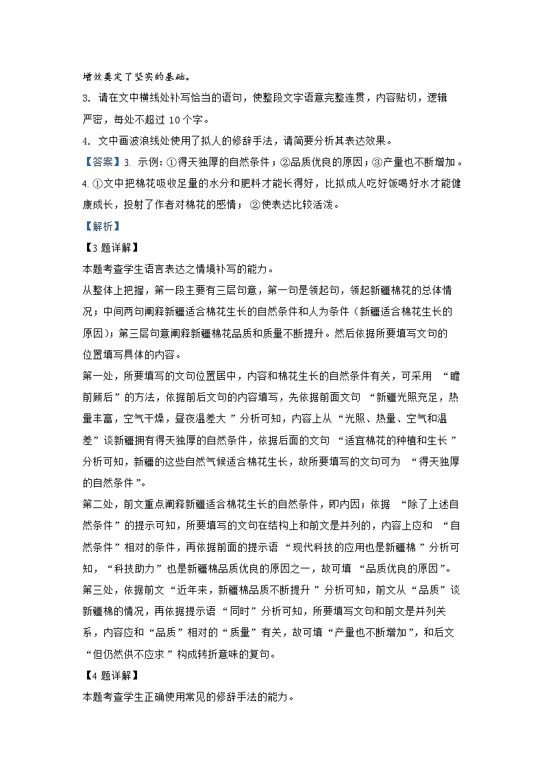 查补易混易错点02 语言文字运用II-【查漏补缺】2022年高考语文三轮冲刺过关（全国通用） 试卷03