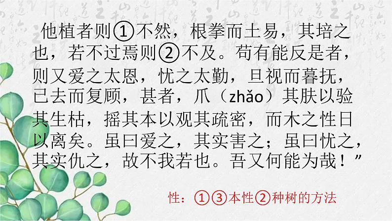 11.《种树郭橐驼传》课件18张2021-2022学年统编版高中语文选择性必修下册第7页