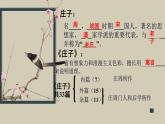 《庖丁解牛》课件29张2021-2022学年统编版高中语文必修下册