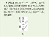 2022届高考语文一轮复习专题六语言文字运用微专题十一图文转换__考法多样课件新人教版202109171266