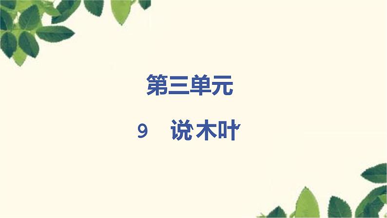 统编版高中语文必修下册第三单元9《说“木叶”》 课件（19张ppt）第1页