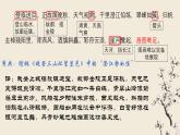 古诗词诵读《桂枝香•金陵怀古》课件20张2021-2022学年统编版高中语文必修下册